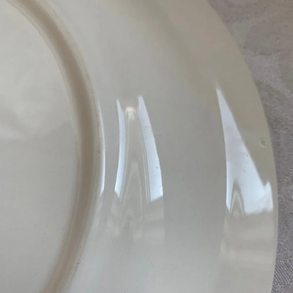 Vintage Colorware Nikko Sage Serving plate 12” Cottagecore Grandmacore Earthy*